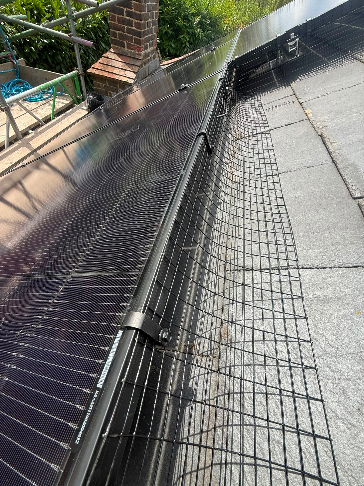 G-Clip (Metal Bird Mesh Clip)