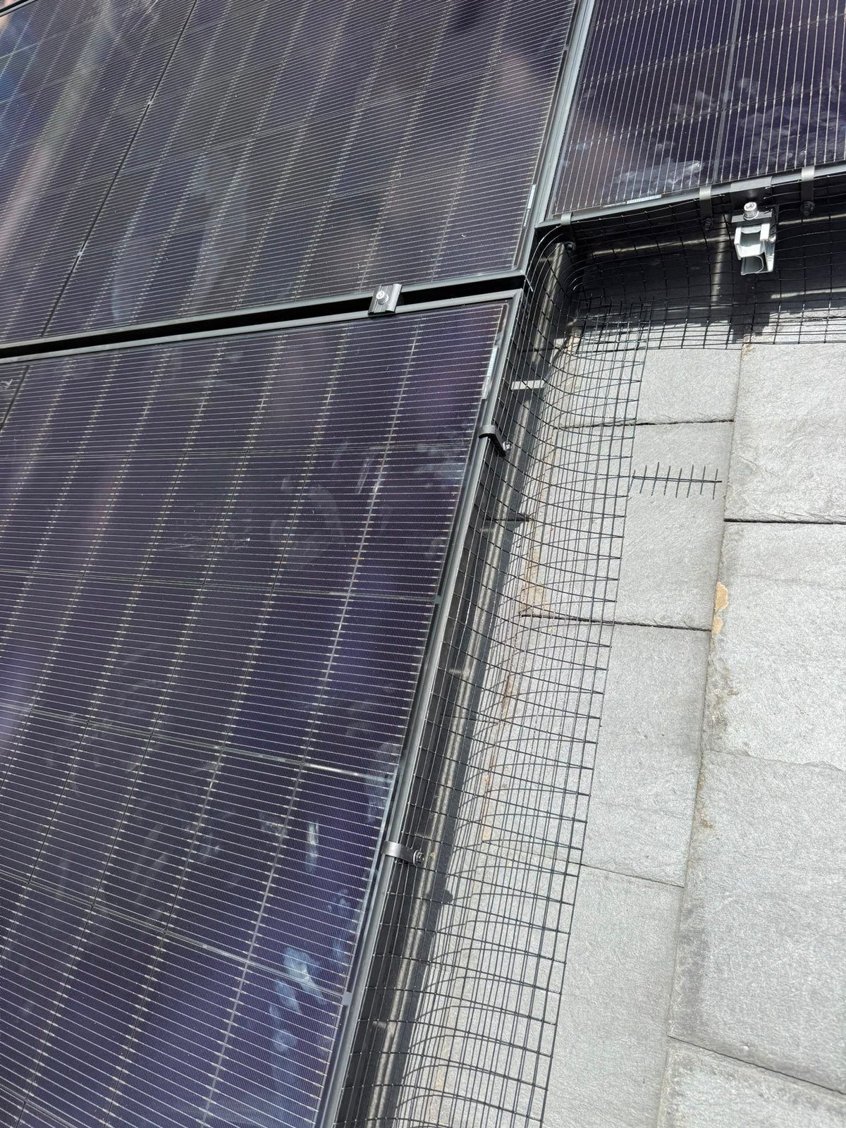 Close-up of Renew G-CLIPS panels mounted on a roof next to gray concrete or stone tiles, with a black wire mesh safety net and mounting hardware visible.